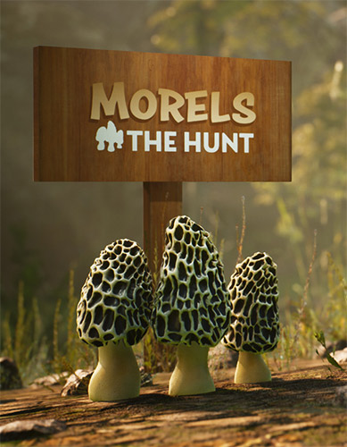 Morels: The Hunt cover