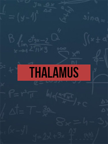 Thalamus cover