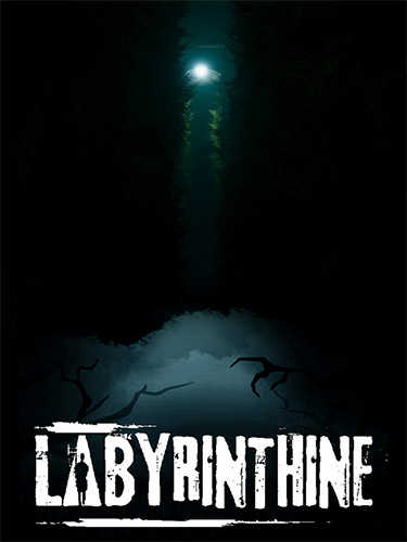 Labyrinthine: Supporter Edition, Build 19705579 + DLC cover