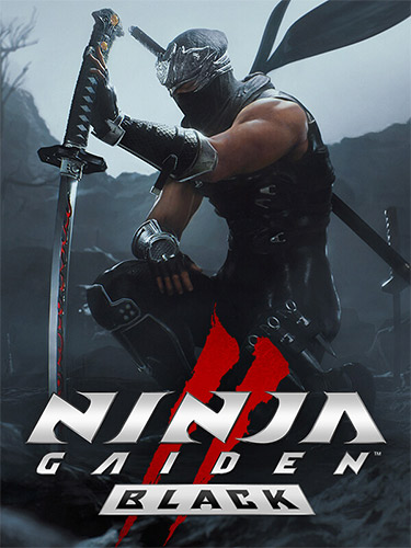 NINJA GAIDEN 2 Black, v1.0.5.0 cover