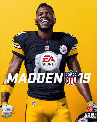 Madden NFL 19: Hall of Fame Edition cover